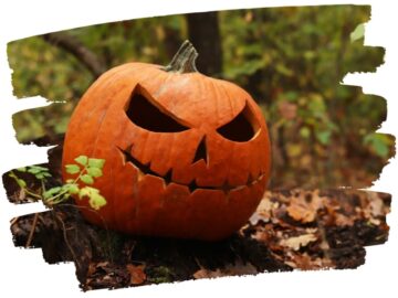 Lekcja 437: Straszne historie - halloween special